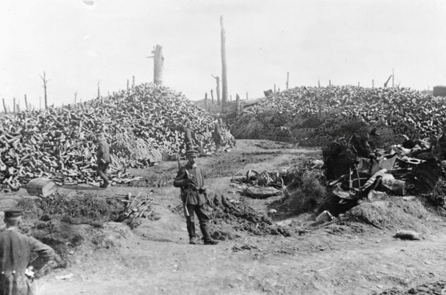 10426660_302525313250541_1405609637130134780_n