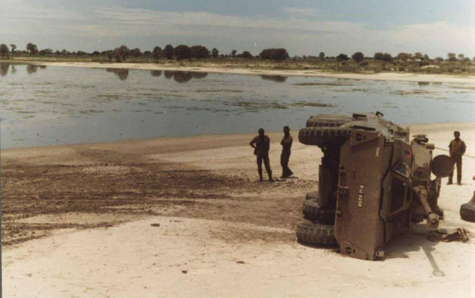 Drunk Ratel …. | The Observation Post