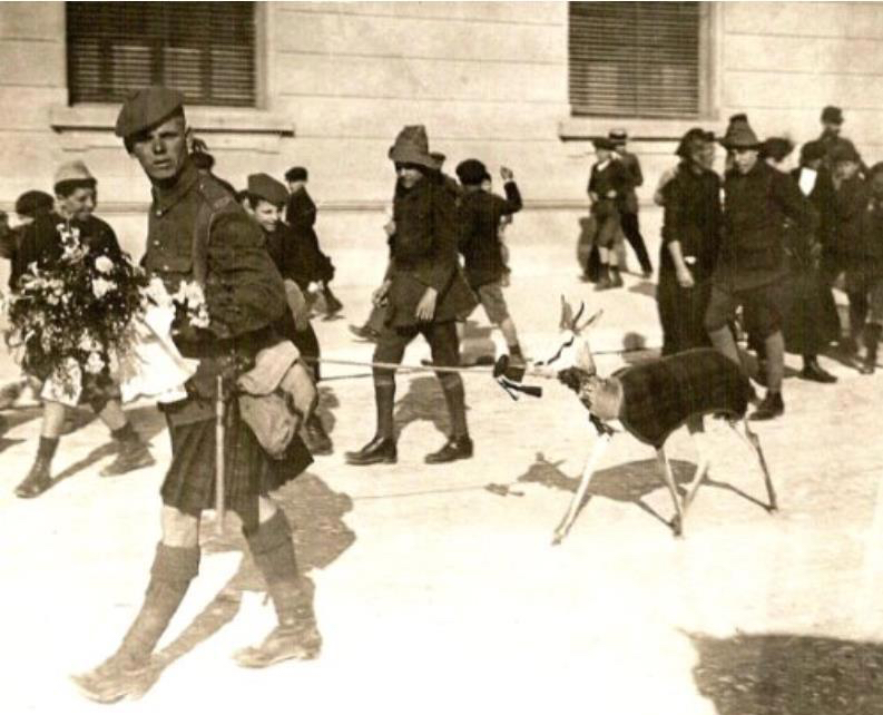 541991_10151074759113843_1882684048_n