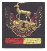 553704_10151160234451480_887764237_n