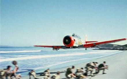 1509915_237922069710866_1366684550_n