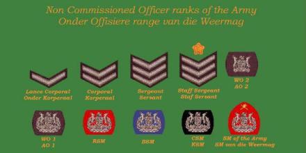 South African Forest Ranger Ranks Band of Brothers – 101 Romeo Mikes | The Observation Post