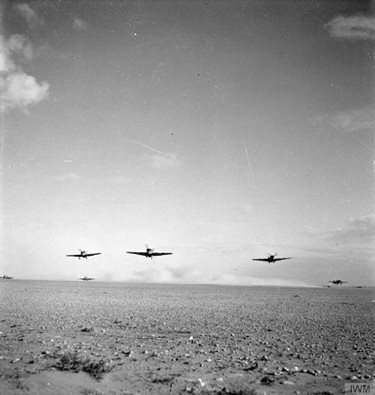 10649706_376892759147129_7713225561556526636_n