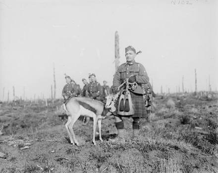 1012186_177891922380548_402925842_n