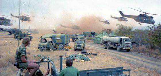 21317440_1810898118921159_8994351697693582498_n