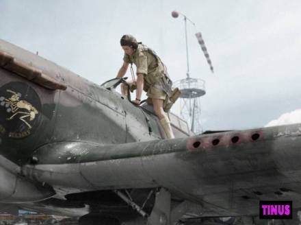 1460210_258771500938983_1728074890_n