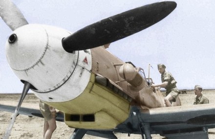 3a6ef2df55c9625ceb0ce191332402c5