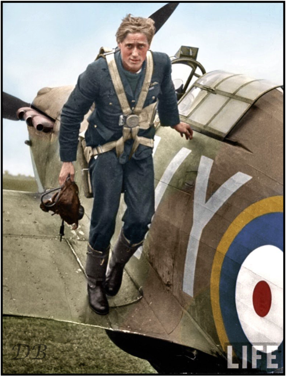 13230298_282501102086746_1575707886245061308_n