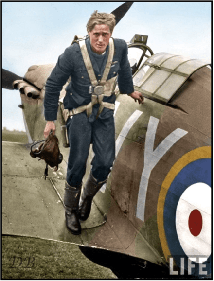 13230298_282501102086746_1575707886245061308_n