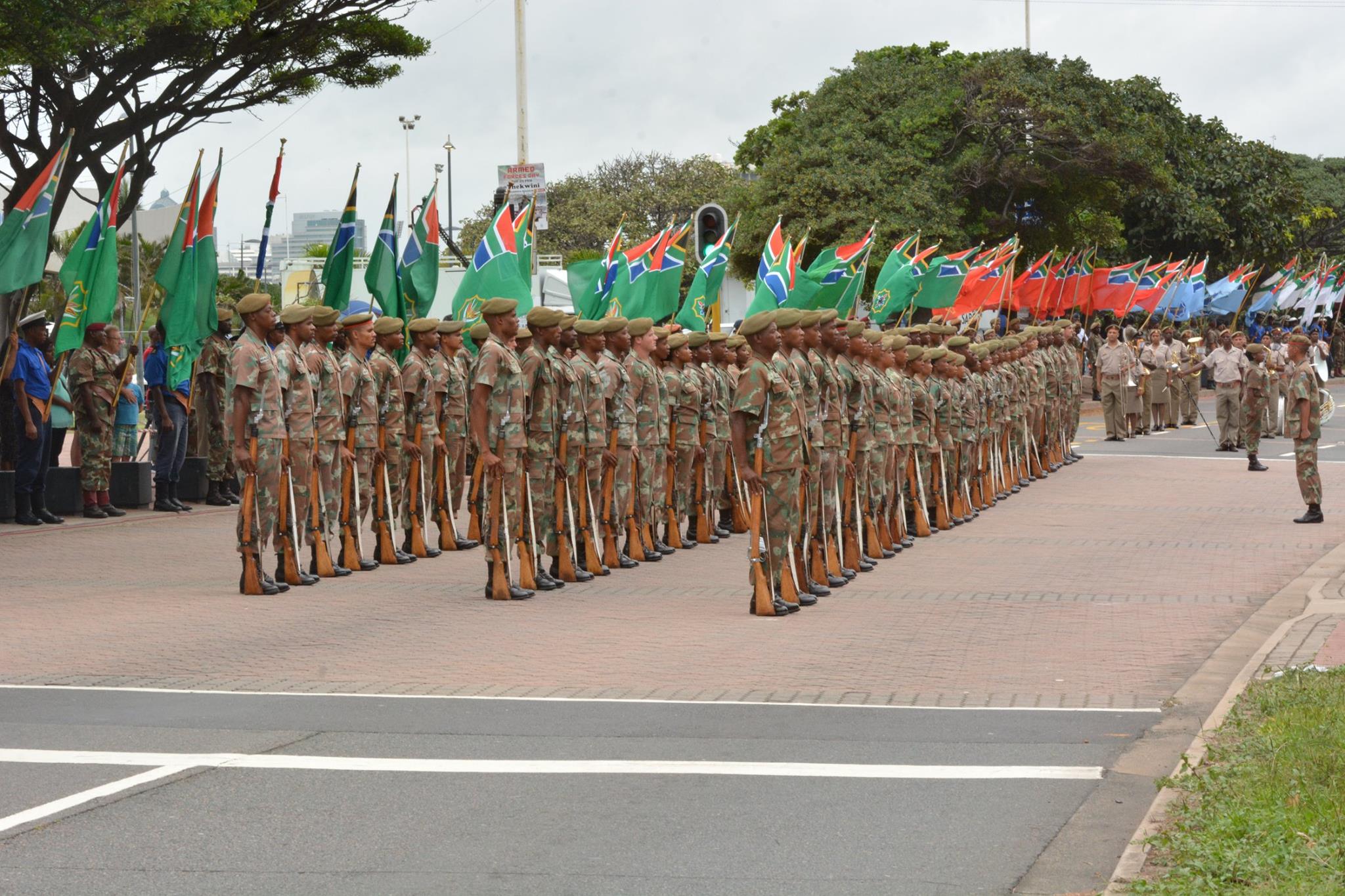 16905042_239550126507219_5077322311342536422_o