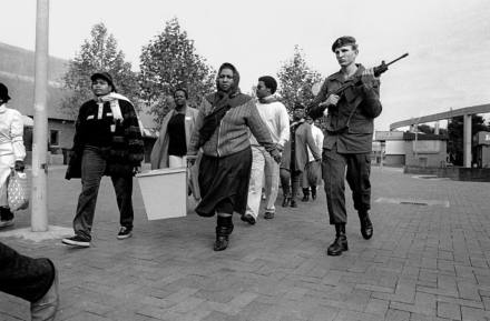 Featured Image -- 10316