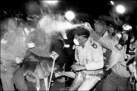 383405_168212136681860_907175053_n