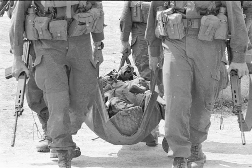 1002896_284525141717225_5264576703568808801_n