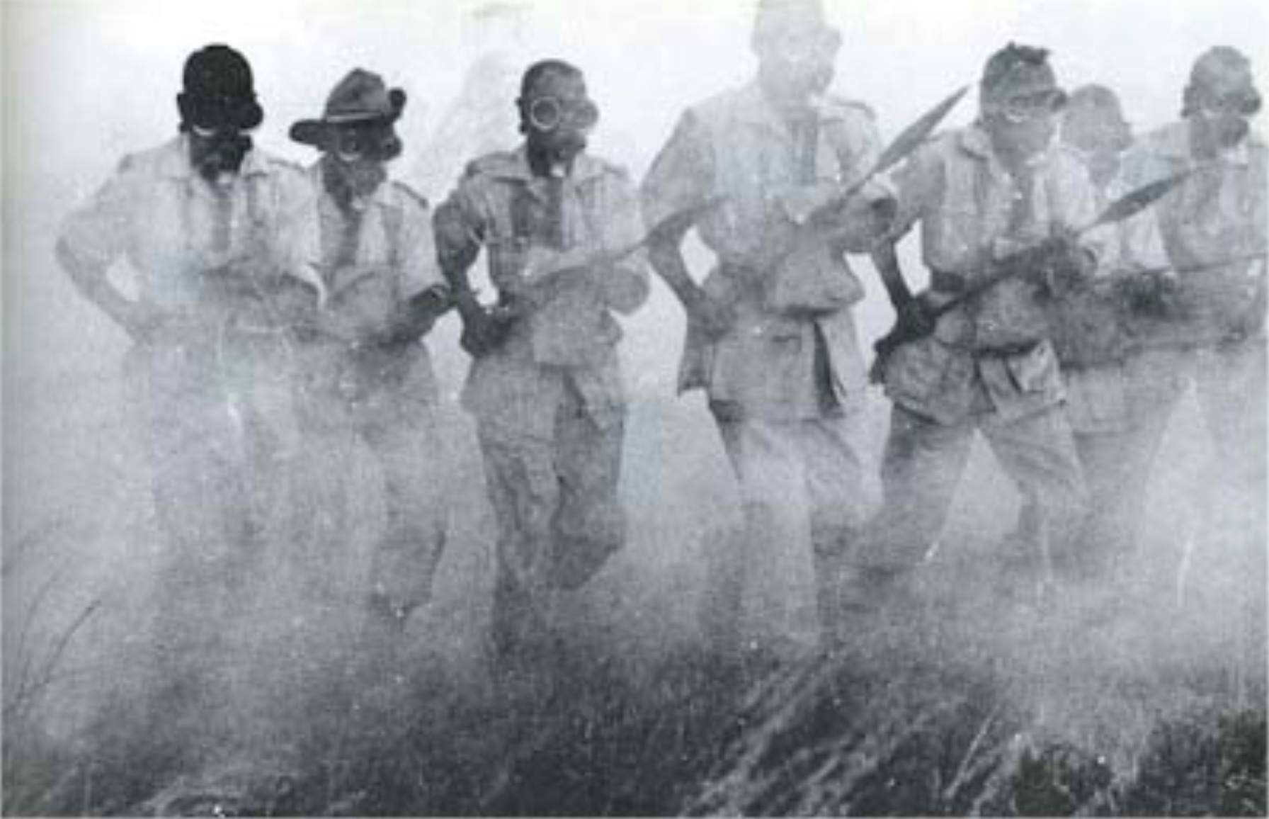 24955656_2059510197611301_4990790189144305175_o