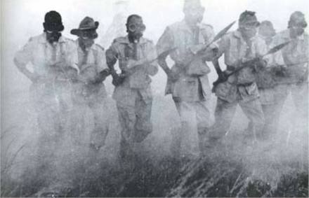 24955656_2059510197611301_4990790189144305175_o