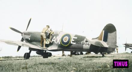 1465859_258197500996383_931143799_o