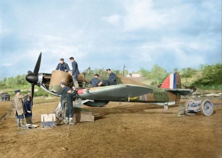 18671456_1233295313466925_2260811607769579802_o