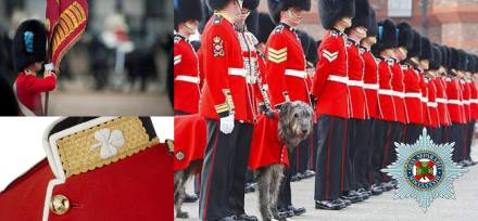 22339296_2032779333617721_6524740468024653096_o