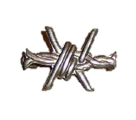 23472831_2045180902377564_421488839758622360_n