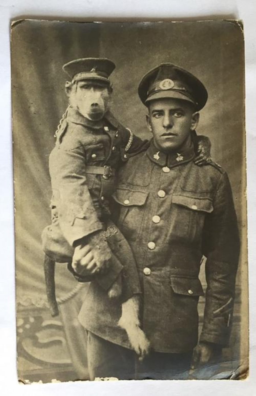 auto_404501_151105151148_MAC1511509802271