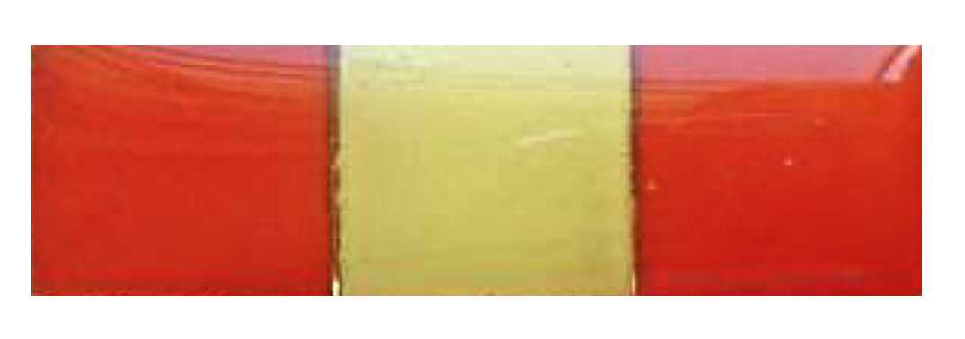 Screen Shot 2017-12-27 at 16.48.49