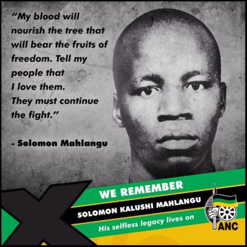 44fabe71-c81e-472f-a6b5-33fd5f9161c3