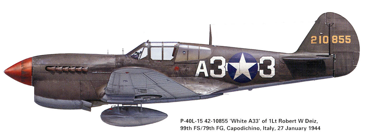 Curtiss-P-40L-Warhawk-USAAF-42-10855-79FG99FS-A33-Robert-Deiz-Italy-1943-0A