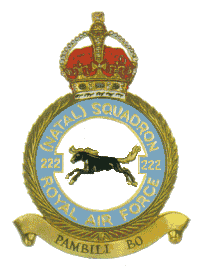 222-squadron