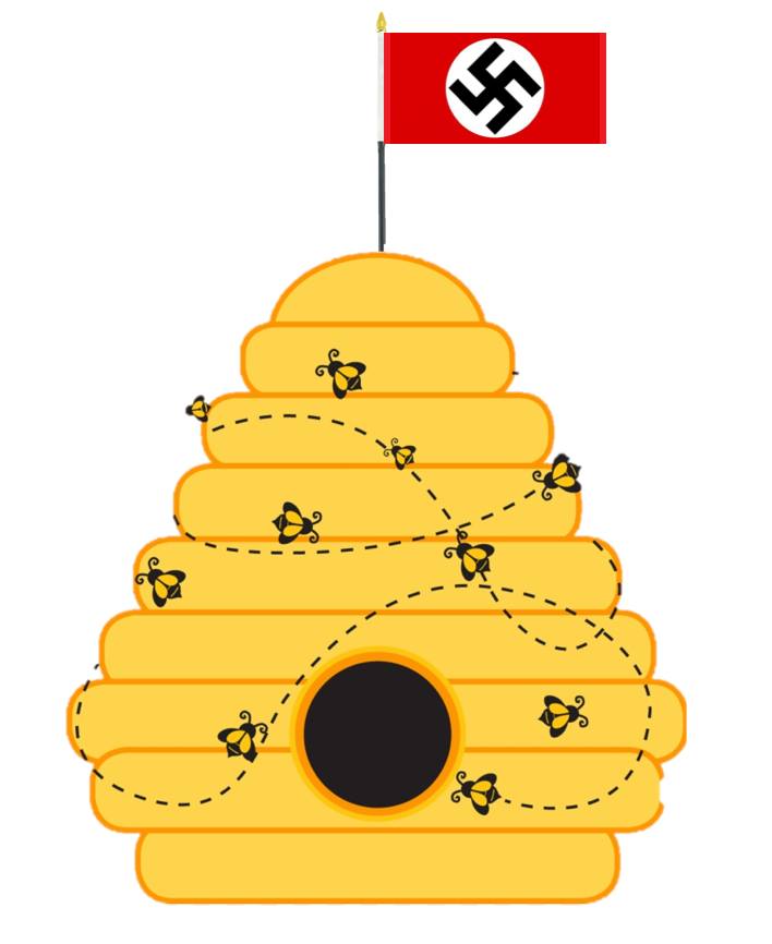 48418268_2298808613681457_770956207409070080_n