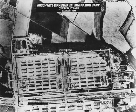 birkenau25august1944